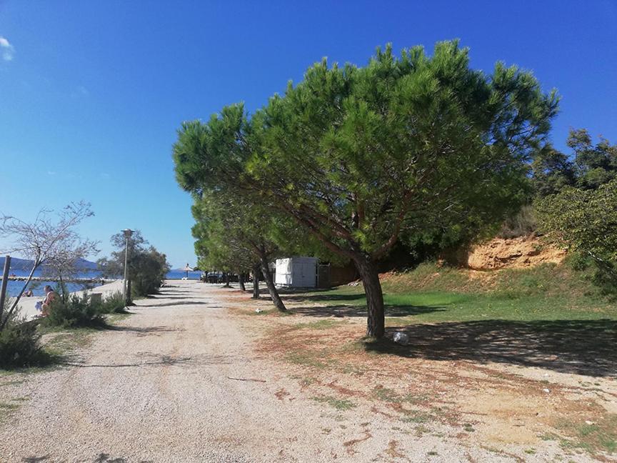 Danyja Apartments Sveti Filip i Jakov Εξωτερικό φωτογραφία
