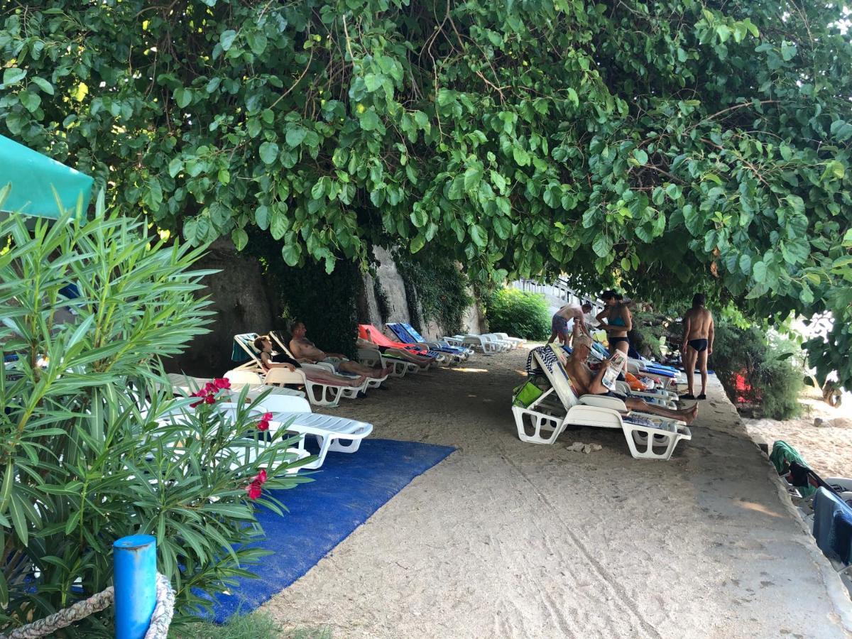 Danyja Apartments Sveti Filip i Jakov Εξωτερικό φωτογραφία